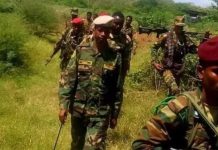 DFS oo sheegtay in xubno ka tirsan Al-shabaab lagu dilay Janaale.