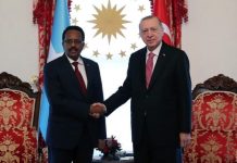 Maxay ka wada hadleen Farmaajo iyo Erdogan?