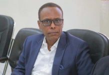 Puntland oo sheegtay in ay qabatay Kooxo dil ka geystay Gaalkacyo