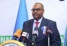 Madaxweyne Deni oo Magacaabis sameeyay