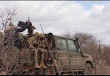 DFS oo sheegtay in xubno ka tirsan Al-shabaab lagu dilay Shabeellada Dhexe