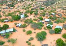Maleeshiyaad ka tirsan Al-shabaab oo xalay lagu dilay deegaano ka tirsan Gobolka Hiiraan.