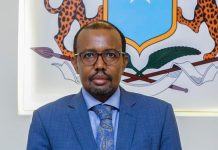 Puntland oo lagu eedeeyay in garoomadeeda lagu adeegsaday duulimaadyo hub lagu geeyo Suudaan