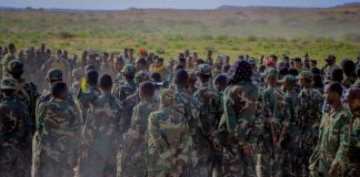 Taliska Ciidanka Danab ee Puntland oo xaqiijiyay in laga goostay mushahaarkii laguna hayo habjabaad joogto ah