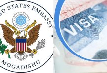 Maraykanka oo Sheegay in La Jabsaday Nidaamka E-Visa ee Soomaaliya, Lana Xaday Xogta Kumannaan Qof