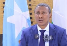 Puntland oo ka digtay in la isticmaalo adeegga E-VISA oo ay sheegtay in uusan sugnayn amni ahaan