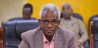 Puntland oo si adag u beenisay iney ku lug leedahay dagaalada sokeeye ee ka socda dalka Suudaan