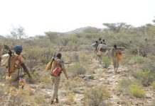 Puntland oo 7 cishe u qabatay dadka uga guuraan tuulooyinka ku dhow togga Baallade