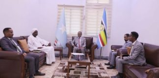 Soomaaliya iyo Sudan oo Ka Wadahadlay Xoojinta Xiriirka xilli Laga Walaacsan yahay Xaaladda El Fasher