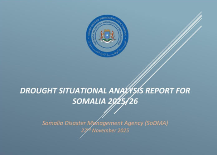 sodmaa-696x497