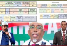 Xisbiga uuu hoggaamiyo Shariif Xasan oo lagala noqday Codadkii uu ka helay Degmada Waaberi.