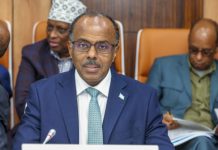 Soomaaliya oo ku eedaysay Imaaraatka inay si qarsoodi ah u soo gelisay hogaamiye gooni u goosad Yemeni ah hawada Soomaaliya