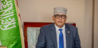 Somaliland: oo ku tilmaantey Hadallada Erdogan faragelin aan la aqbali karin