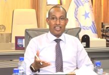 Dowladda Soomaaliya oo shaqo joojin ku sameysay qaar kamid ah diyaaradaha ka howlgalla dalka