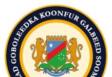 Koonfur-Galbeed oo magacaawday Guddiga Doorashada kadib muran ka dhashay warqadda DFS