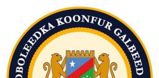 Koonfur-Galbeed oo magacaawday Guddiga Doorashada kadib muran ka dhashay warqadda DFS