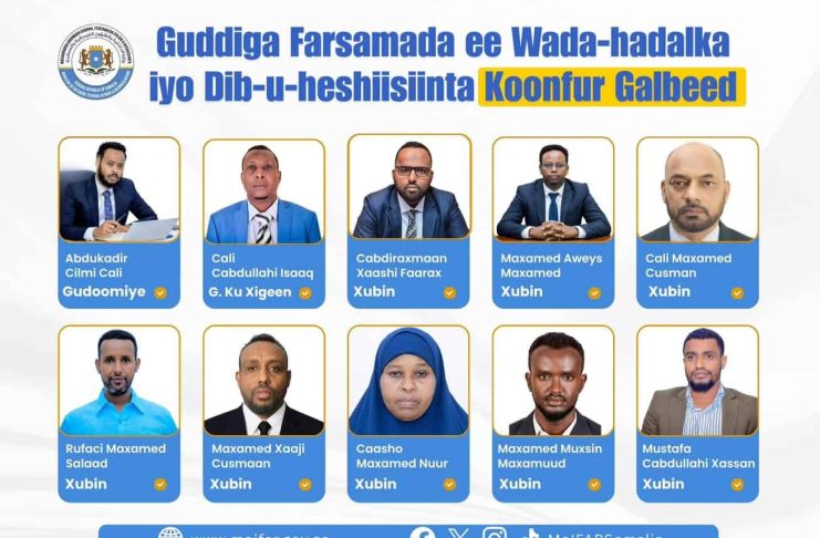 DFS oo magacowday Guddiga Farsamada Dib u heshiisiinta Koonfur Galbeed