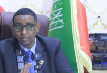Somaliland oo amartay in ajaanibta sharci-darrada ah ay 10 cisho gudahood kaga baxaan deegaannadeeda