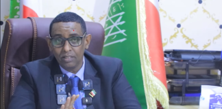 Somaliland oo amartay in ajaanibta sharci-darrada ah ay 10 cisho gudahood kaga baxaan deegaannadeeda