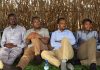 Wasiir Ku-xigeenka Warfaafinta oo Dhuusamareeb ka wada ololaha musharraxa hoggaamiyaha Galmudug ee JSP