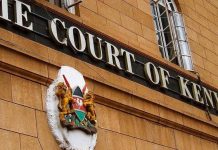 Kenyan court sentences Al-Shabab member to 115 years over terrorism offences