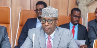 Wasiirka Tamarta Soomaaliya: Fatahaadaha Deyrta waxay sababi karaan in la waayo 7,000 oo ceelal biyood ah