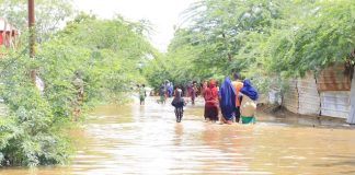 IOM: Ku dhowaad 874,000 qof ayaa fatahaado ugu barakici kara Soomaaliya saddexda bilood ee soo socda