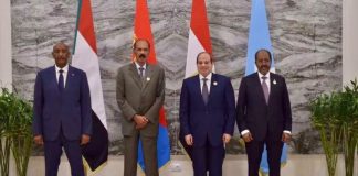 Soomaaliya, Masar, Suudaan iyo Eritrea oo digniin u diray Dowladda Itoobiya